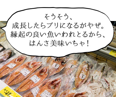 「そうそう、成長したらブリになるがやぜ。縁起の良い魚いわれとるから、はんさ美味いちゃ！」