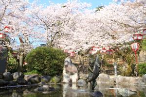 朝日山公園桜0405-1