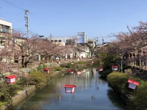 湊川の桜0406-1