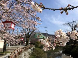 湊川の桜0406-2