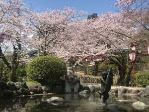 朝日山公園桜0408-1