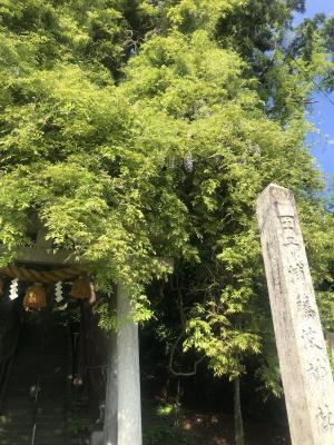 藤波神社0516-2