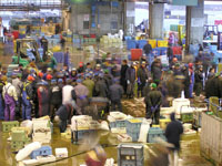 セリ市場(冬)