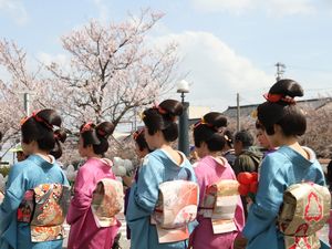 まるまげ祭りイメージ