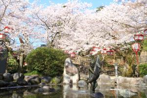 朝日山公園の桜イメージ1