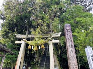 藤波神社