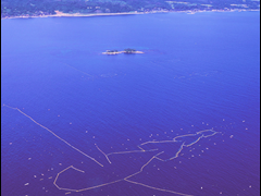 日本農業遺産ツアー