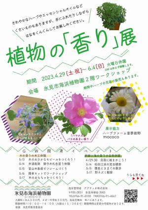 氷見市海浜植物園