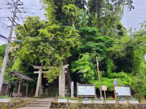 藤波神社の藤