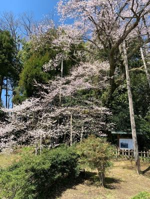 余川古寺240410