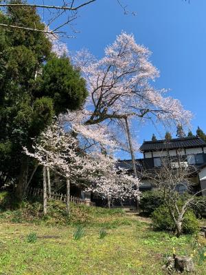 余川古寺240410