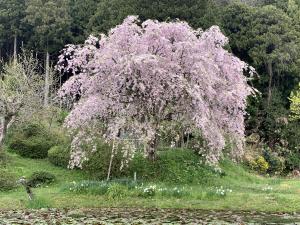 花の里くまなし４