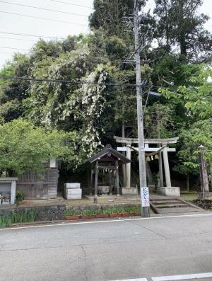 藤波神社