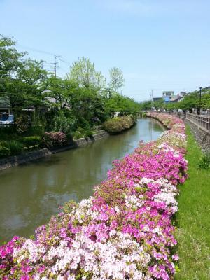 湊川