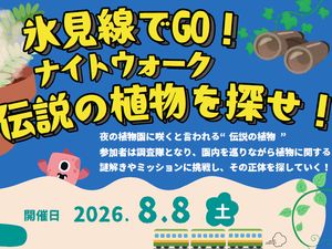 ナイトウォーク