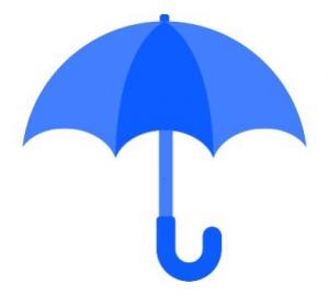 雨