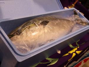 ぶり・鰤・ブリづくし