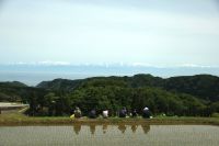 棚田から見る立山連峰