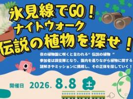 ナイトウォーク